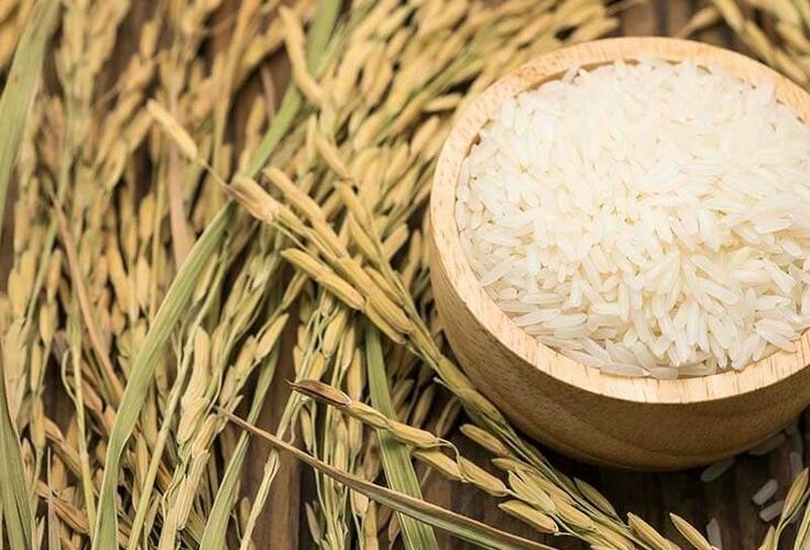 راه‌های تشخیص برنج تازه از کهنه