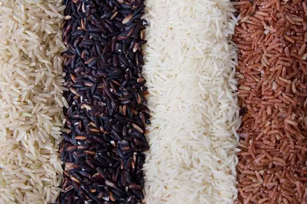 سورتینگ برنج در مازندران