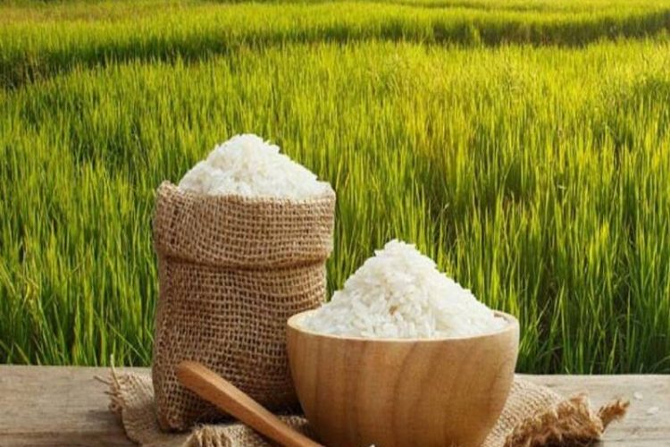 مراحل تبدیل شالی به برنج
